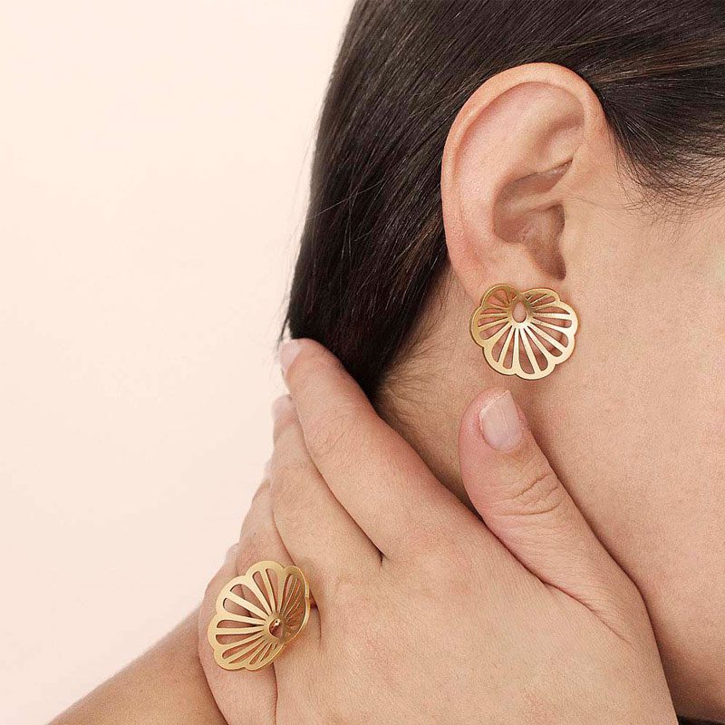 ARETES ORBICULATA - Image 2