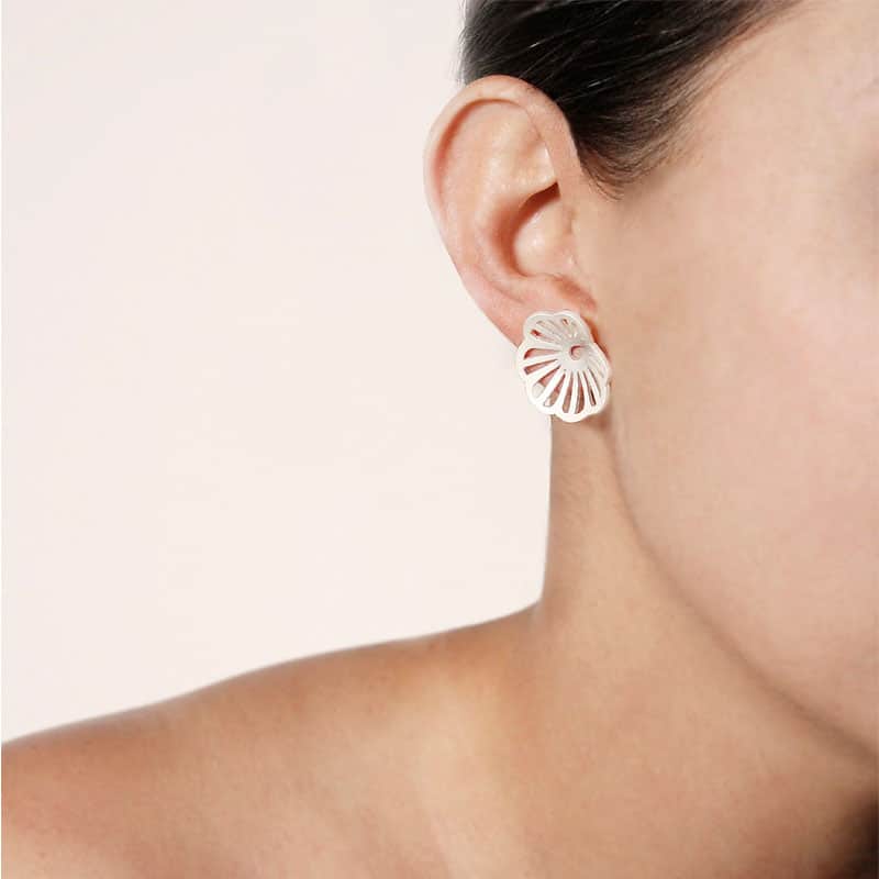 ARETES ORBICULATA - Image 4