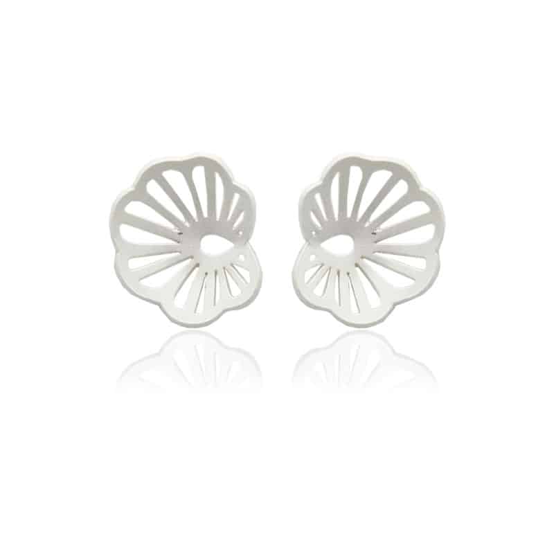 ARETES ORBICULATA - Image 3