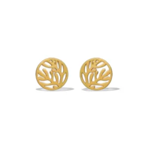 ARETES TOPO ARRECIFE