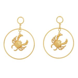 MR. CRAB MAXI HOOPS
